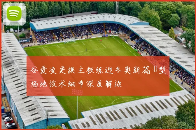 谷爱凌更换主教练迎冬奥新篇 U型场地技术细节深度解读